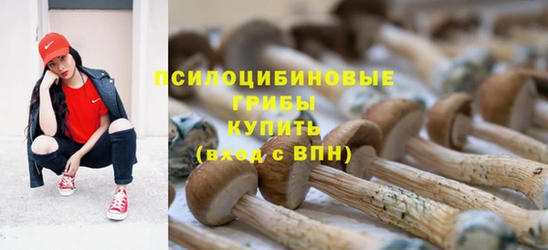 ALPHA PVP Алексин